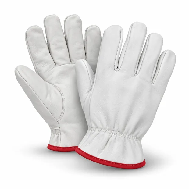 Goat skin gloves · illustrative reference