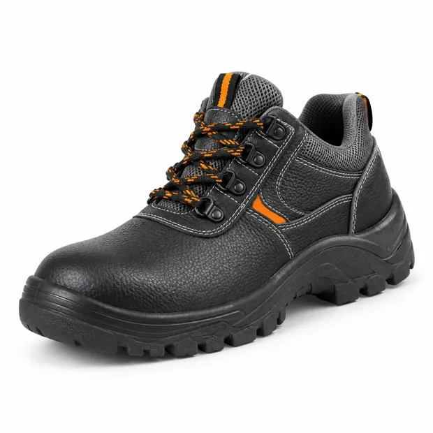 Safety shoes · illustrative reference